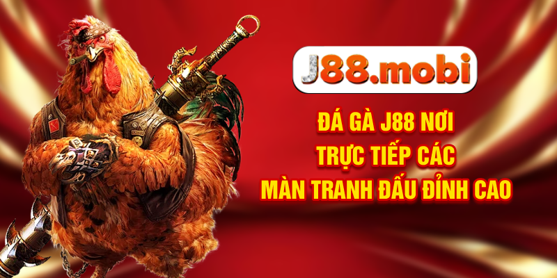 Đá Gà J88 Nơi Trực Tiếp Các Màn Tranh Đấu Đỉnh Cao